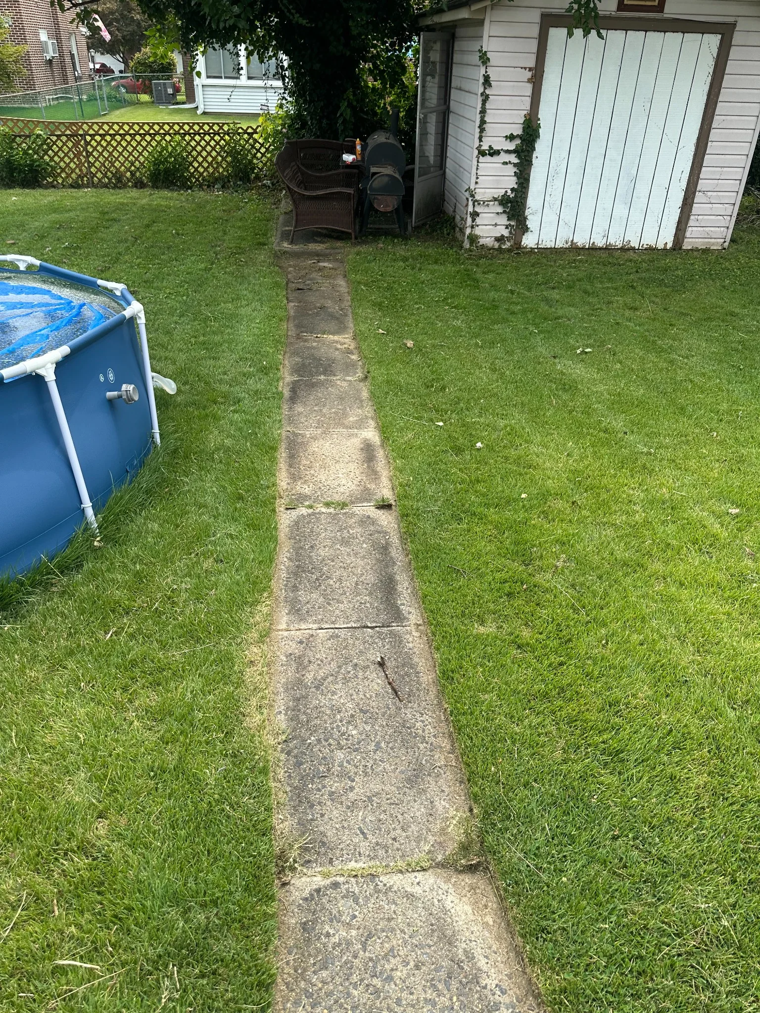 Freshly cut backyard lawn surrounding a concrete walkway, above-ground pool, and detached garage
